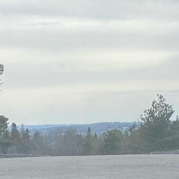 Meet your Posher, Jasmyne - Picture 1 of 1